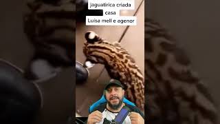 Desafiou o Ibama e a Luisa Mell a problemática das mídias sociais e o efeito capivara do Agenor [upl. by Odama]