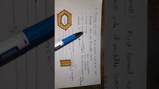 Ultrastructure of cell wall [upl. by Monroe51]