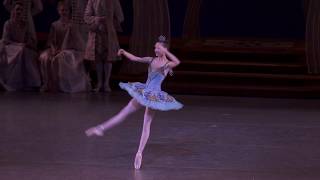 NYCB Sleeping Beauty Bluebird [upl. by Ynnaej]