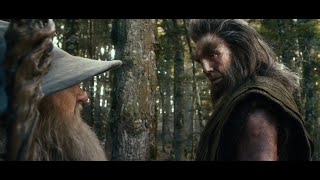 Gandalf y Beorn Hablan del Nigromante en Dol Guldur  El Hobbit La Desolación de Smaug VEEspañol [upl. by Derwon622]