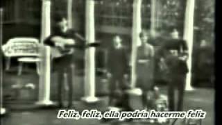 20 El Parque la Lluvia y Otras Cosas The Cowsills [upl. by Notneuq]