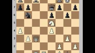 Positional masterpiece Kasparov vs Petrosian 1982 [upl. by Marsland]