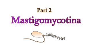 Mastigomycotina ll Part 2 ll GC Ainsworth Classification of Fungi [upl. by Innob353]