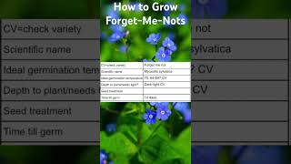 How to Grow ForgetMeNots [upl. by Airamak]