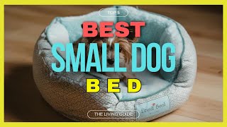 🔥 Best Dog Bed for Small Dogs in 2024 ☑️ TOP 5 ☑️ [upl. by Gathers]