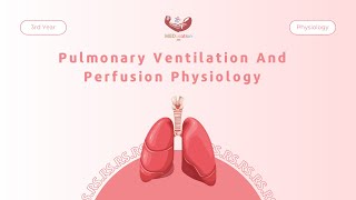 Pulmonary Ventilation And Perfusion Physiology  Physiology [upl. by Niatsirhc]