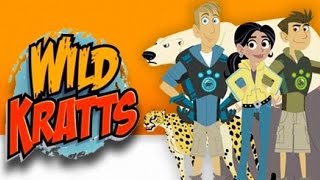 PBS KIDS Games Wild Kratts Avivas Eel Ectric Challenge full episode [upl. by Cariotta]