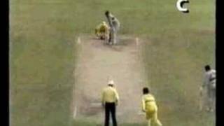 ALLAN BORDER DOES IT HIMSELF [upl. by Omolhs]