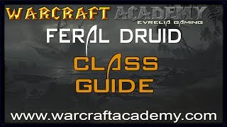 54 Feral Druid DPS Guide  Warcraft Academy [upl. by Cirad]