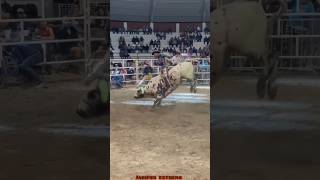 JARIPEO EXTREMO MALQUERIDO DE HIDALGO VS TORO El BÚHO🐂🔥jaripeo shorts [upl. by Fabron]