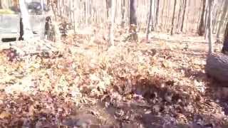 Stihl BR600 Blowing Leaves [upl. by Fernandina]