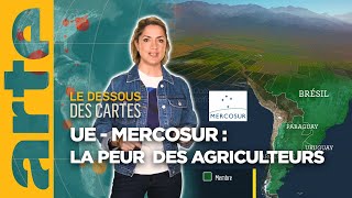 UE  Mercosur  la peur des agriculteurs  Le dessous des cartes  Lessentiel  ARTE [upl. by Glanville]