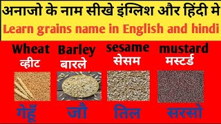 cereals and grain name in English and HindiGrains vocabulary अनाजों के नाम [upl. by Notsud]