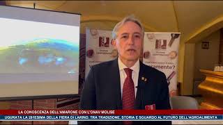 La conoscenza dellamarone con lonav Molise  Trsp  news del 111024 [upl. by Diarmid]