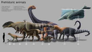 Dinosaur Size Comparison 3D Animation [upl. by Aida254]