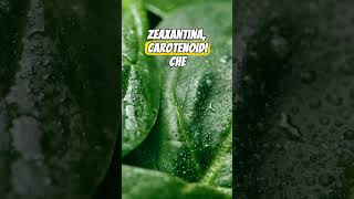 SPINACI e CAROTENOIDI‼️🍃👀 benessere micronutrienti [upl. by Tollmann]