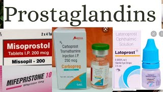 Prostaglandin Synthesis amp Actions of Prostaglandin Targets of PG [upl. by Anigroeg]