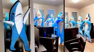 I Caught My Roommate  Then Cameramen Kept Joining 🦈🕺😭 Dancing Shark Compilation [upl. by Rennane]