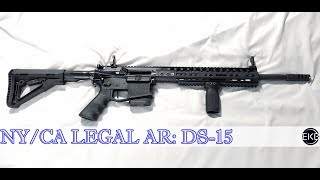 DS15 Typhoon Review  NY Legal AR15 [upl. by Llehcear]