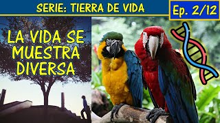 🦜BIODIVERSIDAD ¿Qué es🧬Genética especies ecosistemas🏞Alfa beta gamma🦍Tierra de Vida Ep 2 [upl. by Anilad]