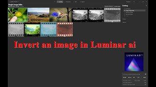 How to invert an image in Luminar ai [upl. by Sato]