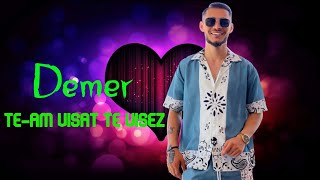 Demer â Team visat te visez ğŸ’ Teri Meri ğŸ’• 2 0 2 4 YonutzSlm [upl. by Meek]