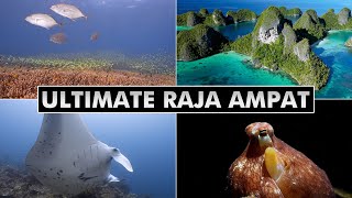 Ultimate Raja Ampat  Diving West Papua Indonesia 4k [upl. by Lansing]