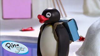 Best Episodes from Season 6  Pingu  Official Channel  Cartoons For Kids [upl. by Olegnalehcim]