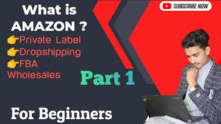 What is Amazon  what is private label Dropshipping and FBA wholesales  For Beginners [upl. by Rockwood929]