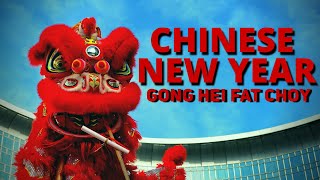 Chinese New Year Information for Kids  Facts about Chinese New Year [upl. by Niarbo378]