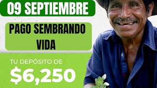 quot¡Atención Sembradores Pago Sembrando Vida 9 de Septiembre 2024 Todo lo que Necesitas Saber 🌱💸quot [upl. by Athene215]