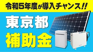 【令和5年度東京都補助金】太陽光発電・蓄電池・V2Hの高額補助金額から申請の流れを解説 ソーラーパネル 電気代節約対策 [upl. by Varion]