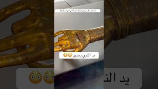 ‏يد النبي يحيى وعصى موسى في ‏متحف توب كابي في اسطنبول ￼￼ [upl. by Aihsenet]