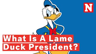 What Is A Lame Duck President Phrase Explained Amid TrumpBiden 2020 Election [upl. by Helprin]