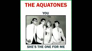 Aquatones You 1958 p [upl. by Ennairrek313]