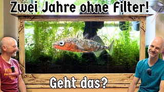 Zwei Jahre filterloses Aquarium Neues Leben im historischen 1890erSetup [upl. by Noyart]