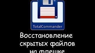 Восстановление скрытых файлов и папок на флешке после вируса [upl. by Iem]