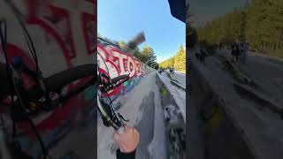 70kmh Brakeless MTB Bobsled POV [upl. by Favian299]