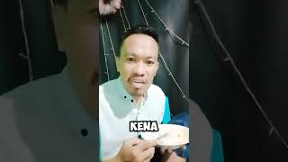 Bola kaki lucu kreatorlucu ngakak comedy bola [upl. by Alphonse454]