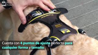 Arnés para perros en el auto [upl. by Iaria149]