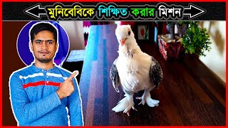 কবুতরকে রুমের মধ্যে ছেড়ে পালনের জন্য যেভাবে পোষ মানিয়েছি🔥 How To Tame A Pigeon In Bangla⚡ jactok [upl. by Griswold421]