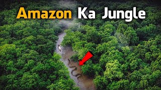 Most Dangerous Animals Of Amazon Rainforest  Strange Facts About Amazon Rainforest HindiUrdu [upl. by Morrie358]