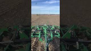 Fall tillage before no till beans next year💪 [upl. by Hgielime584]