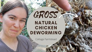 Worms in chicken poop GROSS  How naturally deworm chickens [upl. by Sherrard480]