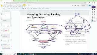 Gene Duplication Introduction  Homolog Ortholog Paralog [upl. by Mitchell951]