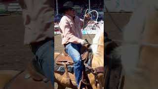 PONOKA HEEL SHOT rodeo [upl. by Allerie]