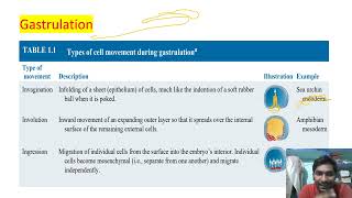 Developmental Biology  lecture 6  Gastrulation  movement in gastrula  CSIRNET GATE [upl. by Tanhya]