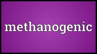 Methanogenic Meaning [upl. by Etteniotnna]