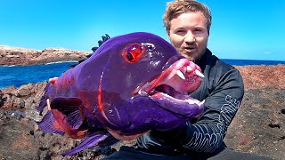 Most Unbelievable Fish Catches [upl. by Herwig]