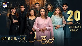 Noor Jahan Episode 1  25 May 2024 English Subtitles  ARY Digital Drama [upl. by Oniotna]